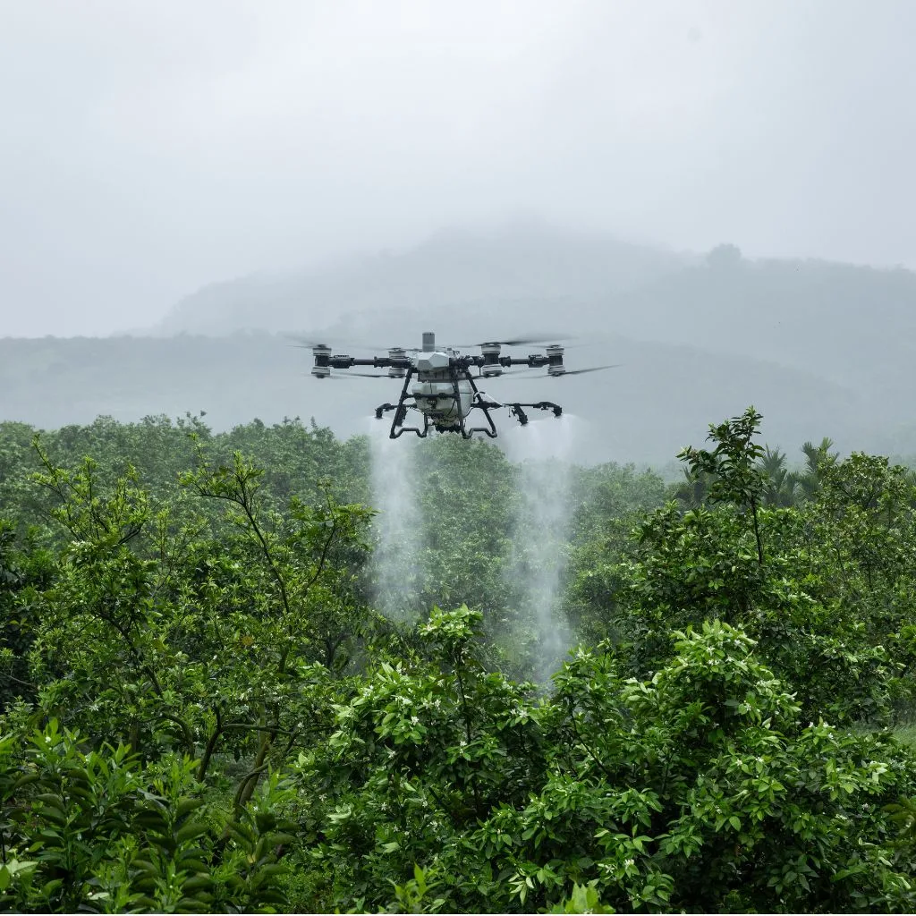 Trattamenti su piccoli frutti con drone DJI Agras (dove consentito)